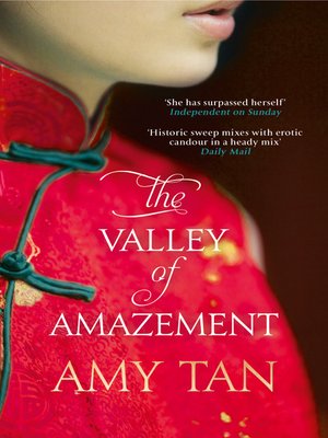 The Valley of Amazement - ebook